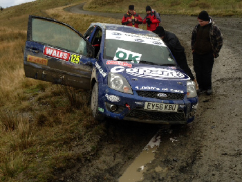 Fiesta in 2013 rally
