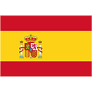 Copart Spain's first auction 