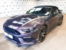 Ford Mustang Thumbnail