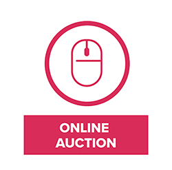 Online Car Auction