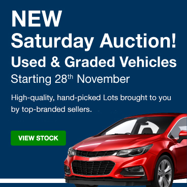 Used and Graded Auction