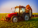 Agricultural Stock