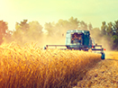 Agriculture Vehicles and Equipment For Sale
