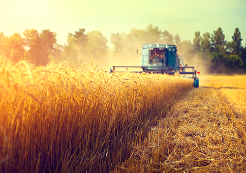 Agricultural Vehicles and Equipment For Sale