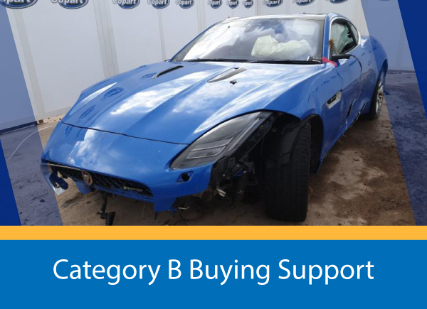 Support for Buying CAT Bs