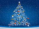 Festive Season