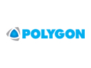 Polygon Restoration