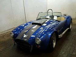Salvage Cobra RAM 427